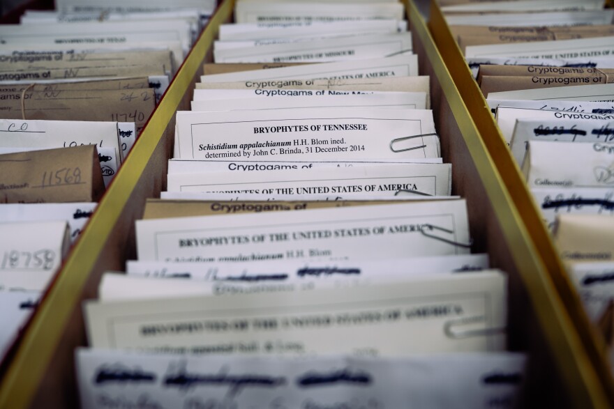 Boxes of cards sit in a lab.