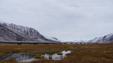 The Trans-Alaska Pipeline along the Dalton Highway near Atigun Pass in September, 2021.