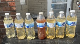 A row of water bottles with varying shades of discolored water in them including one that is opaque.