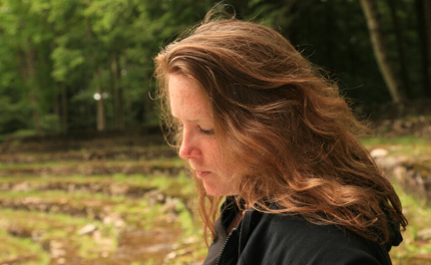 Maureen McLane is a professor of British Romanticism at NYU.