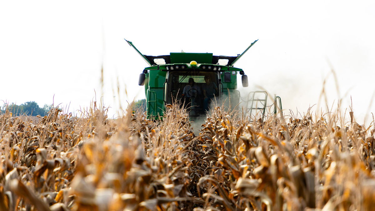 SIU to host 450 ag students for FFA state conference - Vimarsana News