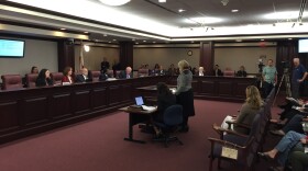 The Florida Senate Rules Committee discussing its proposal for a new joint rule.