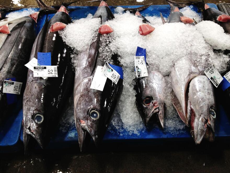 Fish.jpg