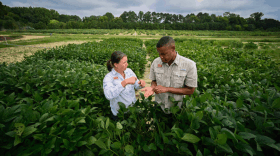 The CROPS Project, funded by the National Science Foundation, will build a 42-county ag tech corridor with the help of several universities across North Carolina. (NC State University)