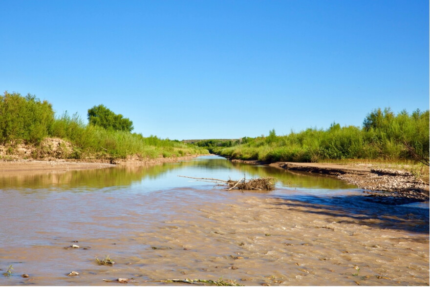 Low, muddy flows on the Rio Grande bordered by green vegetation upstream of Elephant Butte Reservoir in New Mexico.