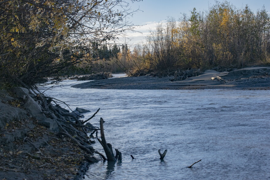 A side channel of the Tanana River flowing over a floodplain on Sept. 27, 2026.