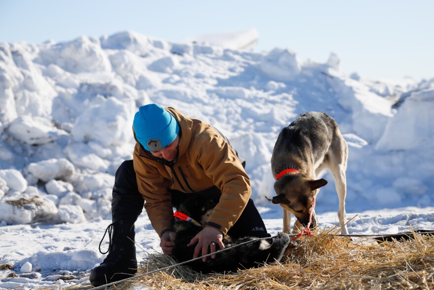 A man in a blue hat petting a dog