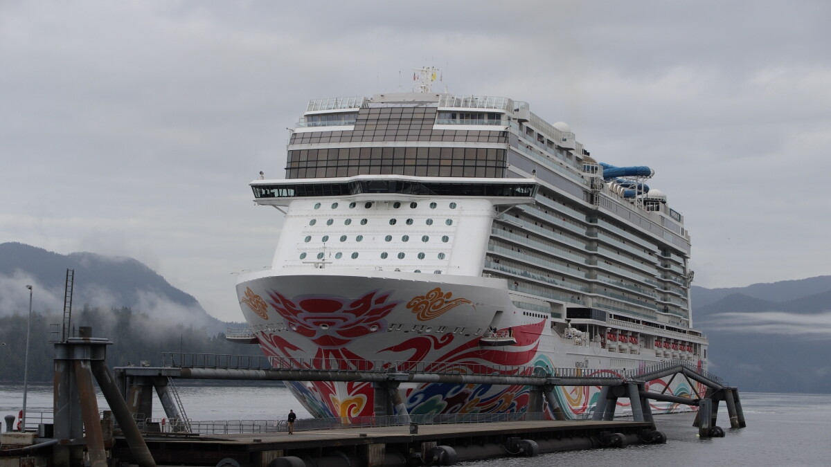 Endangered fin whale discovered dead on cruise ship bow in Sitka