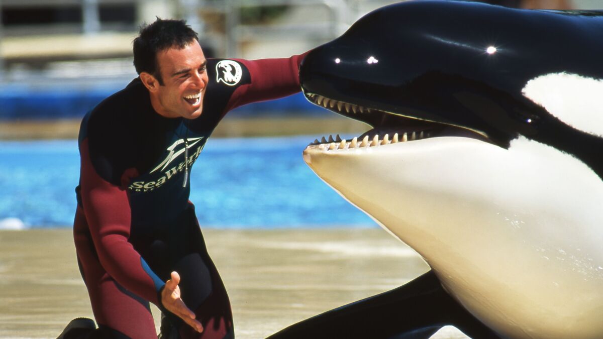 Former Orca Trainer For SeaWorld Condemns Its Practices | WUNC