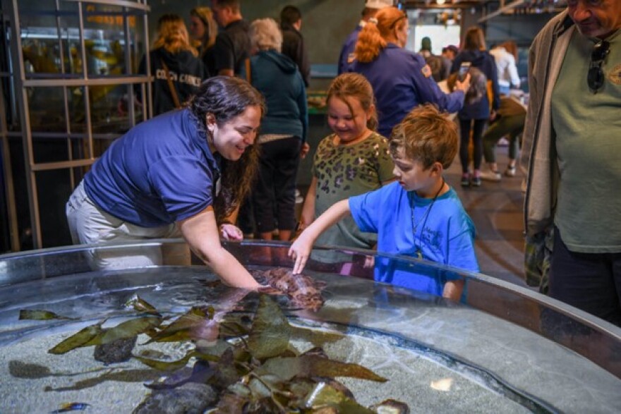 The Santa Barbara Museum of Natural History Sea Center on Stearns Wharf highlights the region’s close connection to the Pacific Ocean and the importance of protecting it, and will be offering free admission on World Oceans Day on June 6