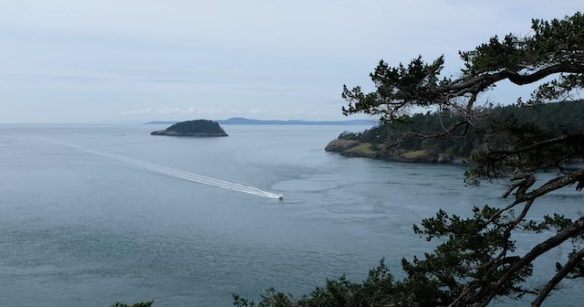 ‘Like a large truck rolling by.’ 3.8 magnitude quake near Oak Harbor felt by thousands
