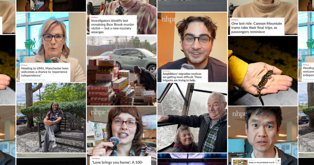 Salamanders, pickleball, poignant conversations: The local stories that will stick with us from 2025