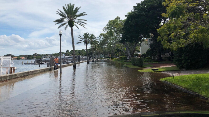 Coffee Pot Boulevard flooding in St. Petersburg flooded during Hurricane Michael.