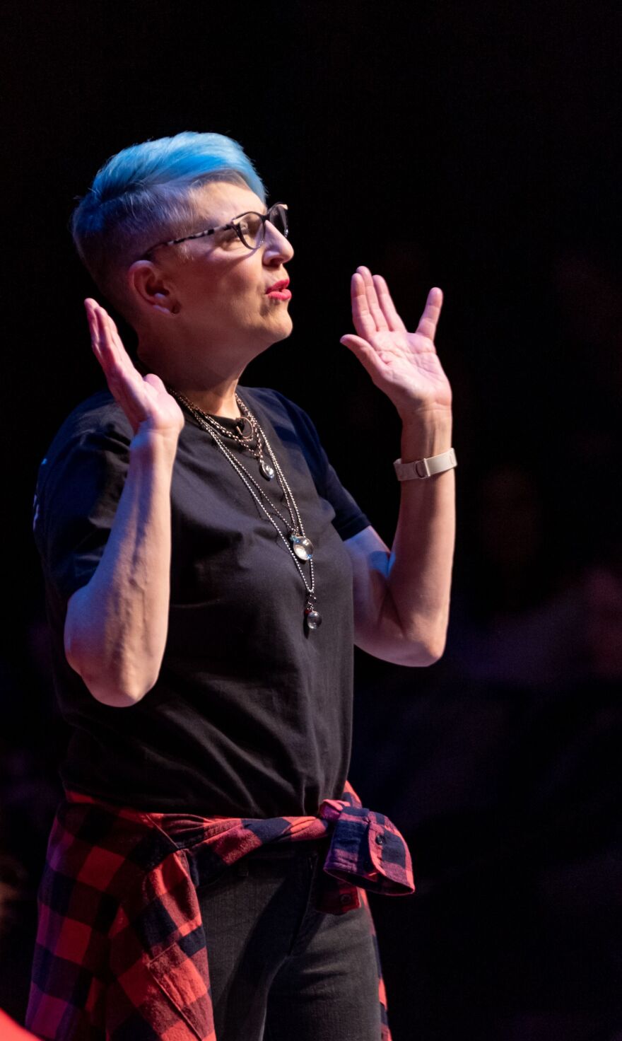 Lisa Lampanelli