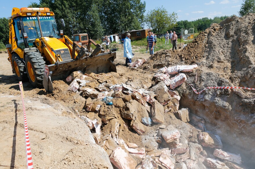 Cured pork fat, said to be illegally imported, was destroyed at a landfill in the Kaliningrad region of Russia on Aug. 11. Russia has banned certain food imports from the United States and its allies in response to sanctions.