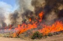 This undated photo provided by the U.S. Forest Service on Friday, Aug. 7, 2026, shows the Widemouth 2 wildfire burning near Richfield, Utah.