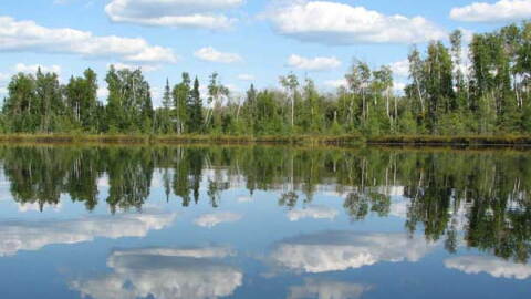 Clouds in the blue sky and trees reflect on water