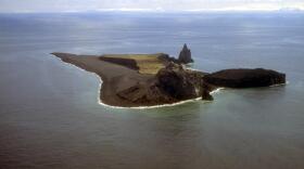 Although Bogoslof Island is uninhabited, it is an important breeding ground for sea birds, seals and sea lions. (Photo by T. Keith, U.S. Geological Survey)