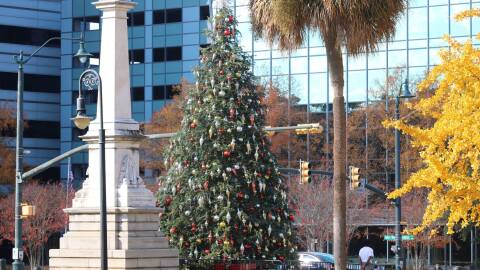 Photo of Christmas decorations in Columbia, South Carolina.