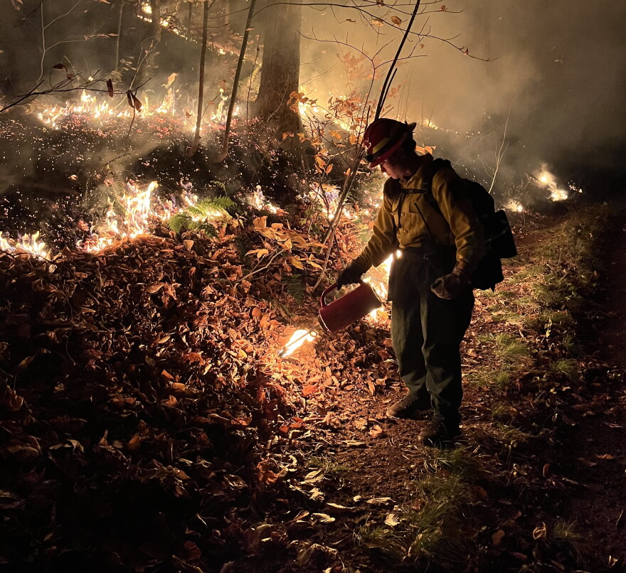 A firefighter is lighting a controlled burn with a red canister. Fire is burning in controlled lines in the background of the photo. It's dark and smoky out. 
