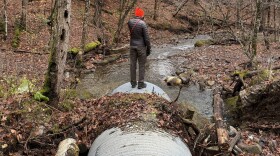 A Monkton resident looks over the washed out Piney Woods Road culvert in Nov., 2025. Monkton voters at town meeting this year said they did not want to invest another $100,000 or so in the road, which has washed out before in the past.