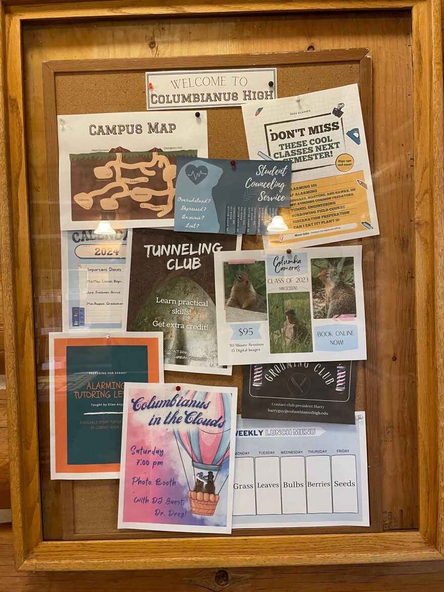 A brown board shows posters with photography packages, classes and a tunnel campus map for the fictional ground squirrel high school.