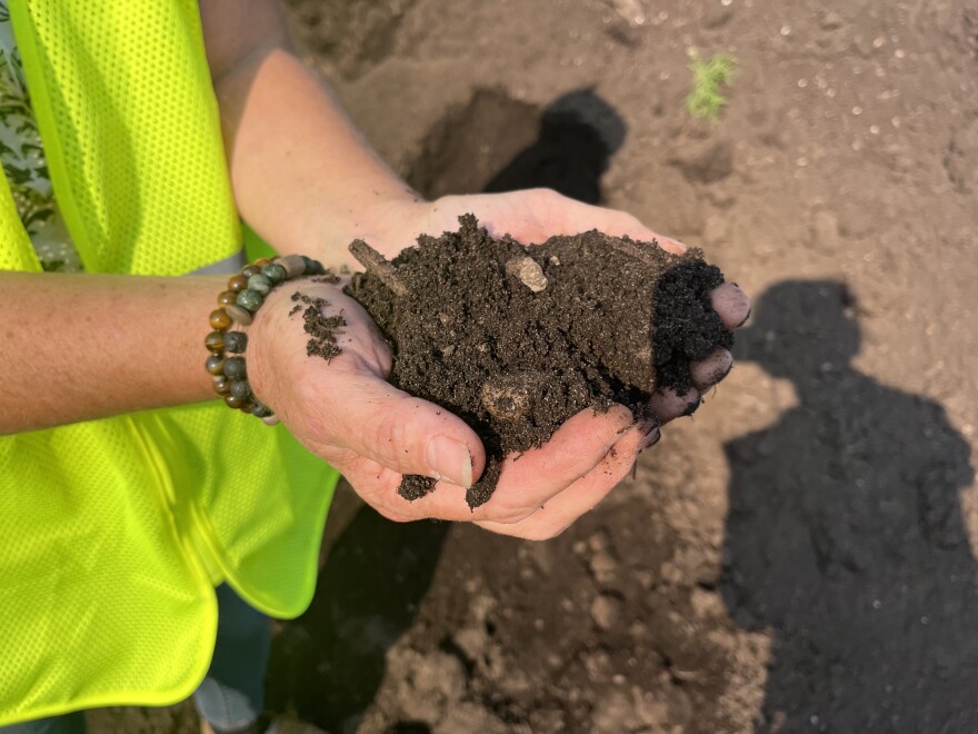 A close up of Lindsey Walker's hands cupping a handful of compost.