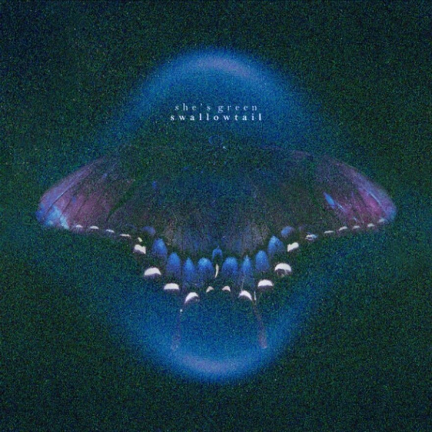 a grainy image of a butterfly 