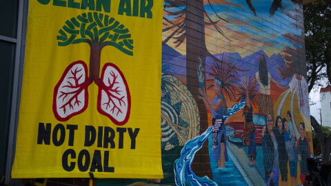 A hand drawn sign that says 'Clean Air Not Dirty Coal' with the drawing of a tree whose roots turn into a pair of lungs 