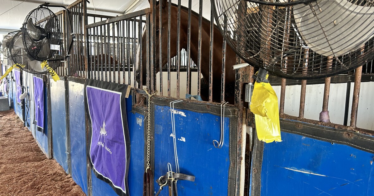 Horse electrocuted at Kentucky State Fair following electrical concerns reported in 2023