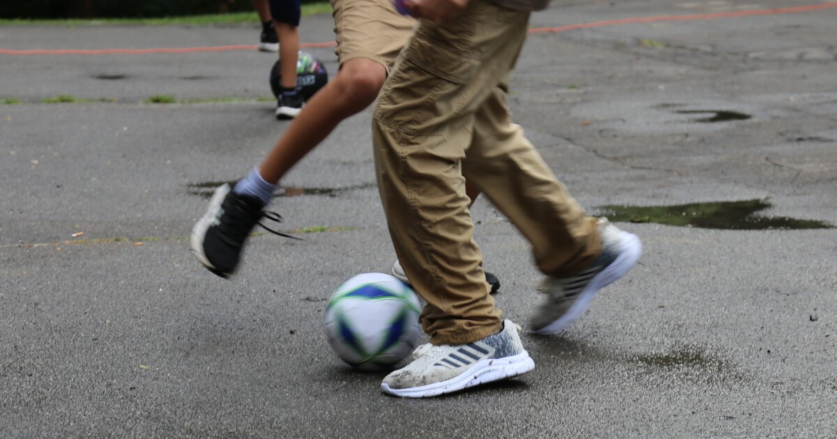 Bipartisan support on US House panel for examining private equity in youth sports