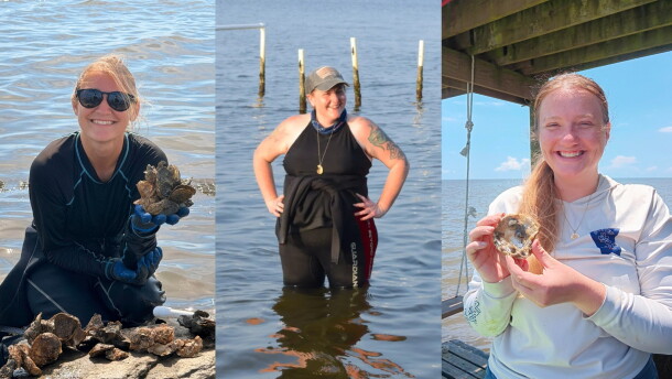 Three portraits of female marine scientists who work on oyster conservation. One woman stands in Mobile Bay while the others hold oyster shells.