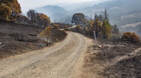 Sky View Road, near the epicenter of the Oak Fire, which destroyed 56 structures in Mendocino County, as seen on September 15, 2020. (Credit: Mathew Caine/Willits Weekly)