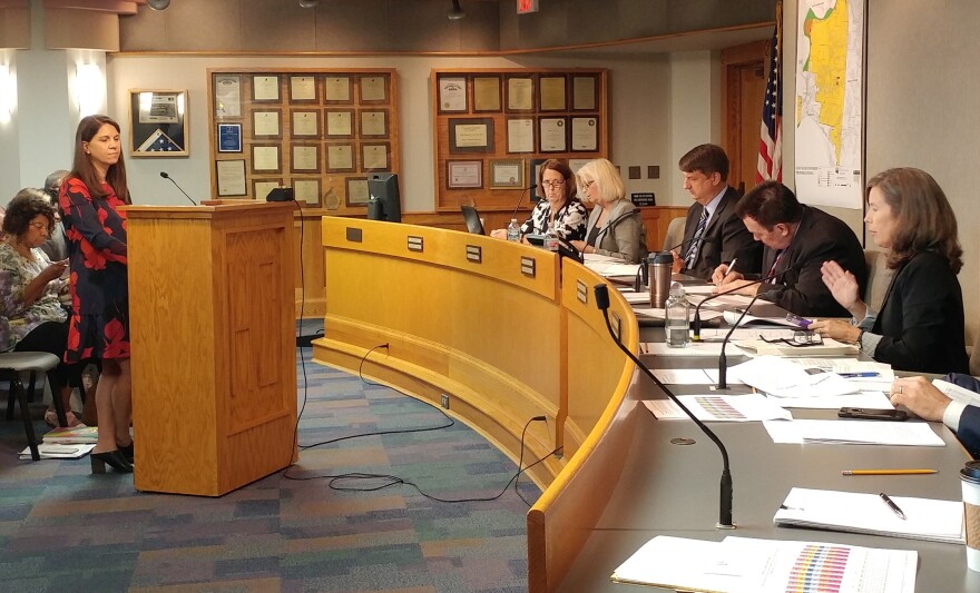 Commissioner Denise Driehaus (far right) makes a case for an additional property tax levy for children's services.