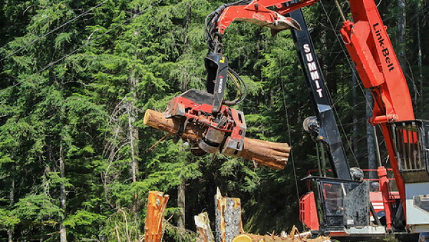 A harvester crane processes a log on a thinning project in the Mount Baker-Snoqualmie National Forest. The project was led by the Washington State Department of Natural Resources, the result of growing efforts by state agencies to conduct work on federal land. President Donald Trump’s plans to increase logging on federal lands will depend heavily on states’ cooperation, experts say