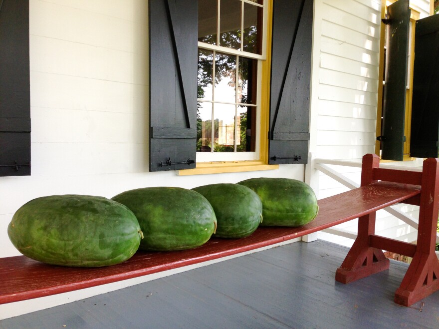 Bradford watermelons sit on a joggling board at Nat Bradford's home in Sumter, S.C.