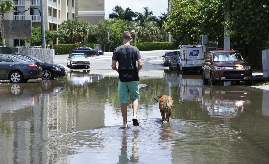 In this June 19, 2019 photo, 27-year-old Ben Honeycutt is shown walking his dog through a flooded Miami street cause by heavy rain. Some consider Miami the Ground Zero for any climate-related sea level rise in the U.S. 