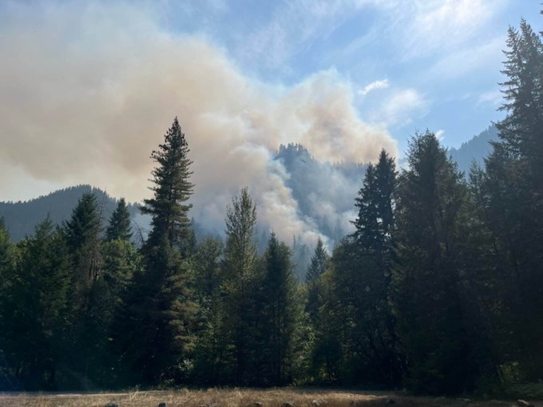 Foley Ridge Fire Foley Ridge Fire still growing east of McKenzie Bridge