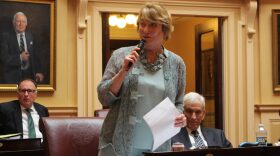 Sen. Janet Howell, D-Fairfax, one of Virginia’s chief budget negotiators, talks about the General Assembly’s 2023 deal in Richmond Sept. 6. (Sarah Vogelsong/Virginia Mercury)