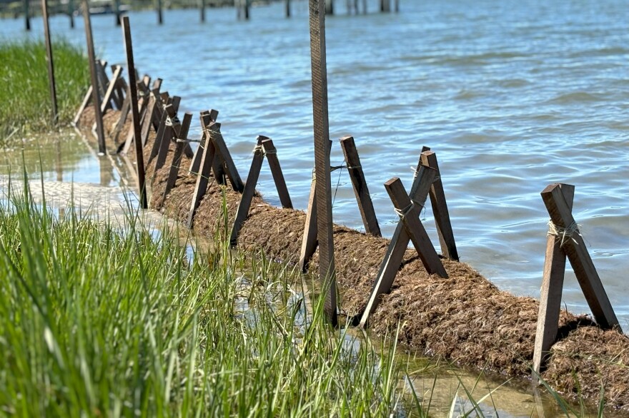 The start of the mussel-based living shoreline at a property on the Lynnhaven River in Virginia Beach.