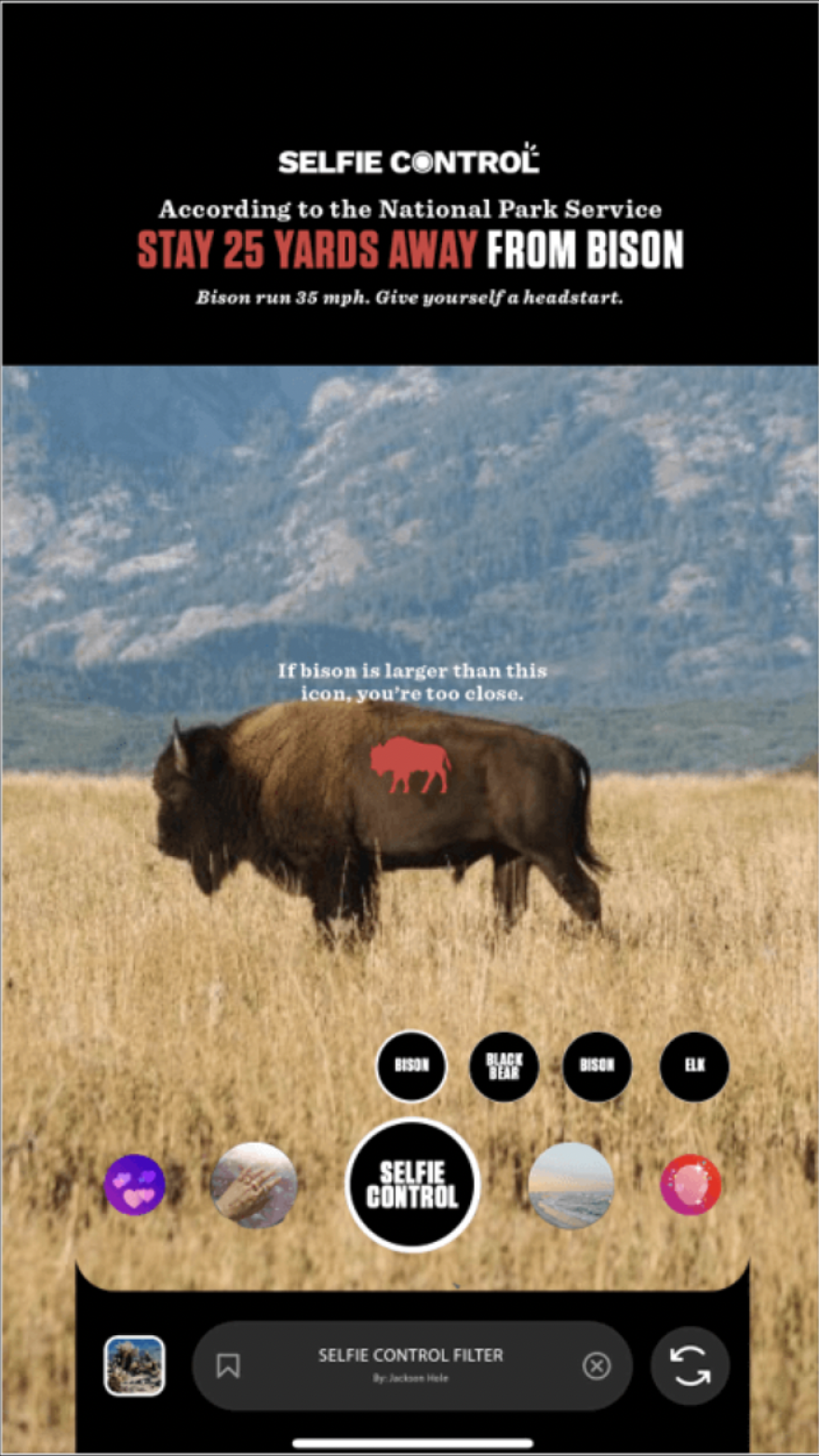 The bison in this photo is larger than the red outline, so the photographer is too close.