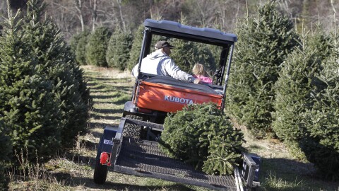 Bobby Maines, left, rides with his grand-daughter, Alyssia Maines, 6, right, as they carry a Christmas tree for a customer at Maines Tree Farm in Glade Valley, N.C., Friday, Dec. 2, 2011