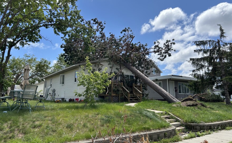 A tall tree leaning on the roof of a cream colored house with green grass everywhere.