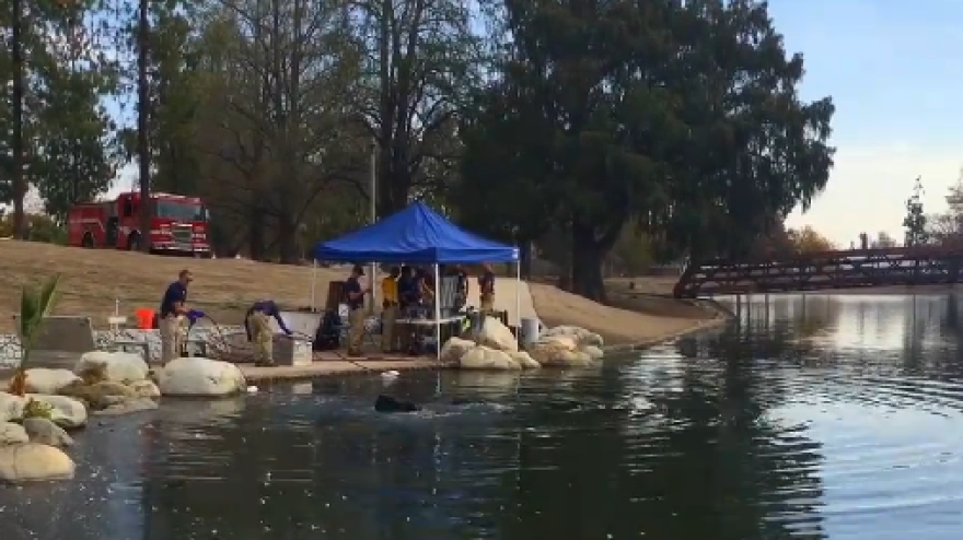 FBI divers are searching a San Bernardino lake for any evidence pertaining to the Dec. 2 shooting rampage that left 14 people dead.