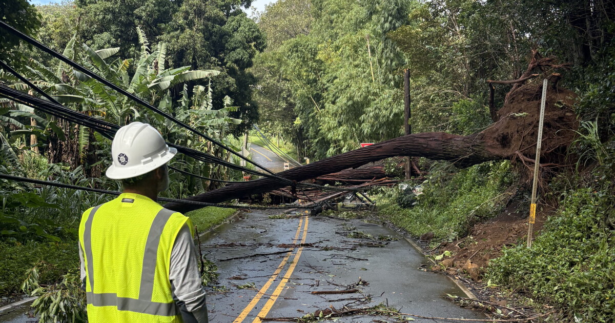 The Conversation: Restoring power after Lala; How to hurricane prep