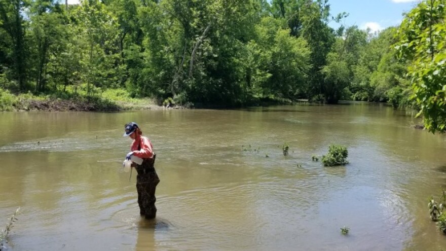 Olivia Reves sampling in-channel at Heron County Park in Vermilion County, Illinois on the North Fork Vermilion River.