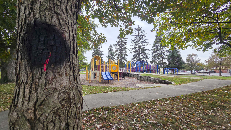 After community members voiced concern, the city amended its plan and will cut down fewer trees.