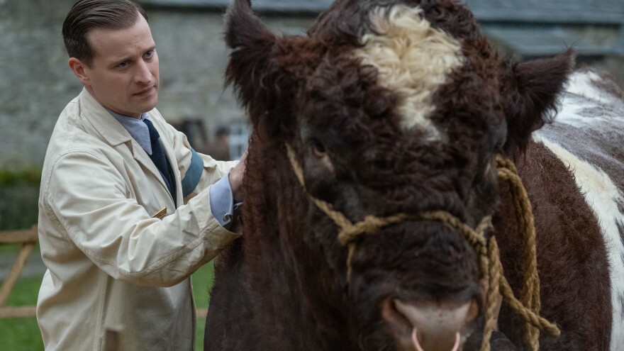 James Herriott (played by Nicholas Ralph) gets up in a lot of animals' business in the new <em>All Creatures Great And Small</em>.