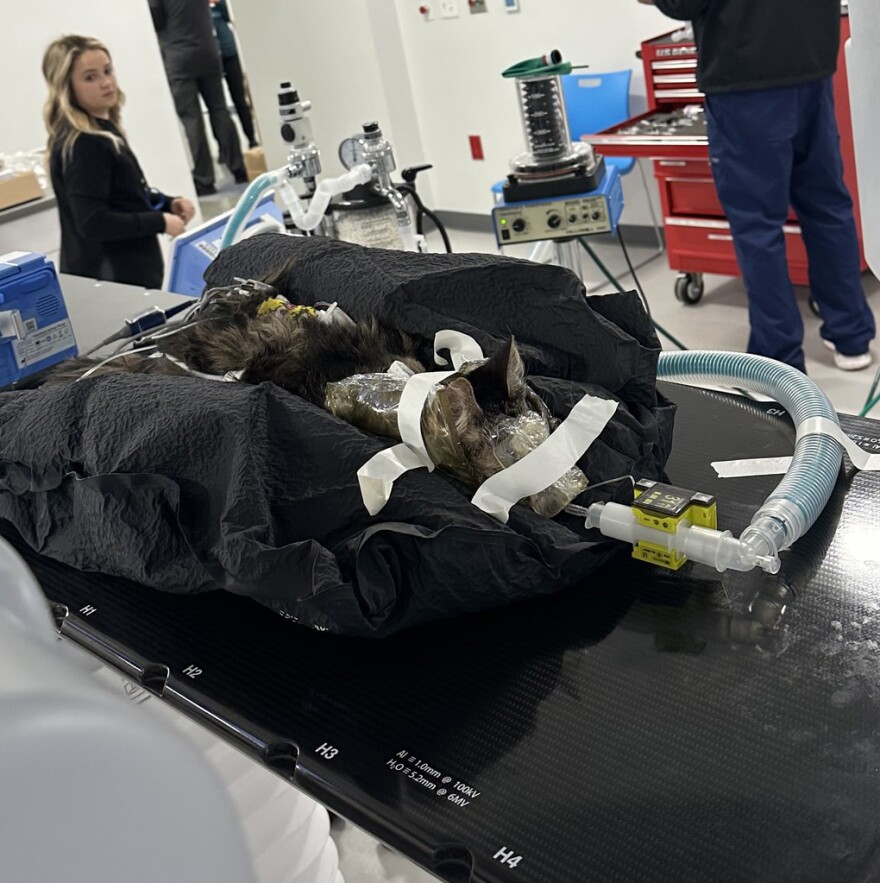 Inside the Pullen Cancer Center.