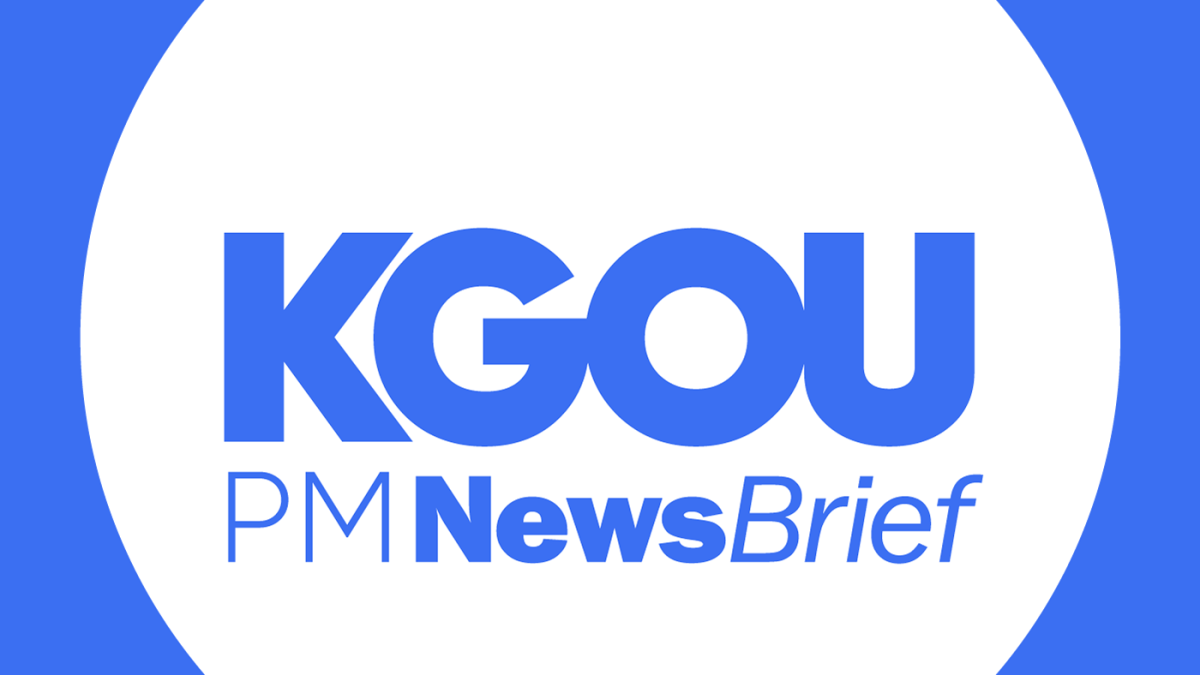 PM NewsBrief: June 9, 2023 - Vimarsana News